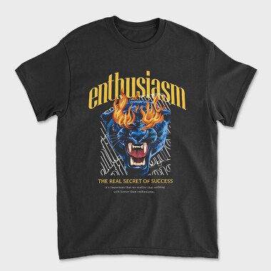 Enthusiasm Secret of Success, Tricou Barbati (Unisex)