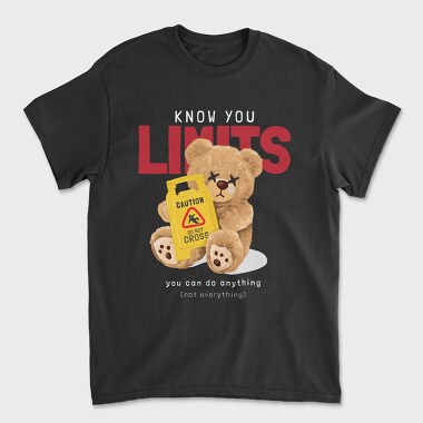 You Can Do Anything Teddy, Tricou Barbati (Unisex)