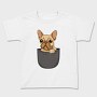 Cute Pug Dog In Pocket French Bulldog, Tricou Copii