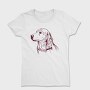 Golden Retriever Dog, Tricou Femei