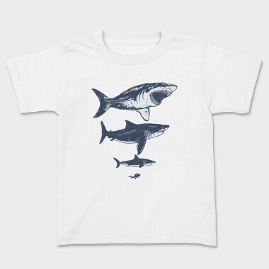 Tricou Copii, Megalodon Sizes