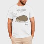 Funny Hedgehog Anatomy Meme, Tricou Barbati (Unisex)