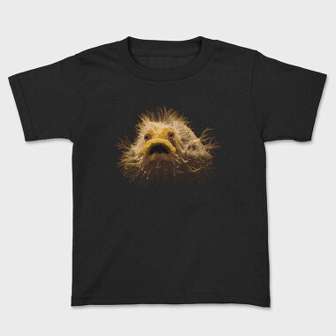 Hairyfish, Tricou Copii