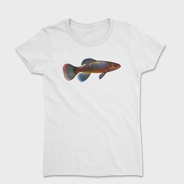 Killifish, Tricou Femei