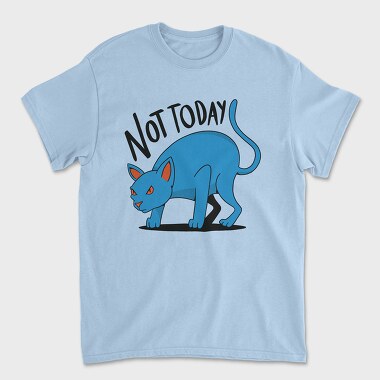 Tricou Barbati (Unisex), Not Today